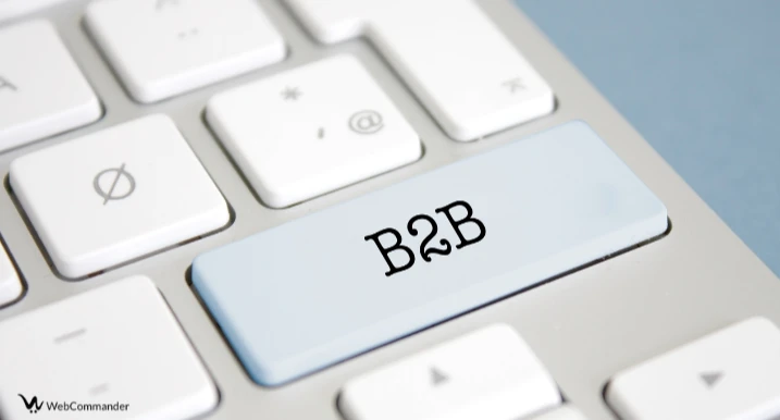 B2B ecommerce marketing strategies